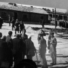 Auschwitz (13)
