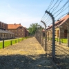 Auschwitz (4)