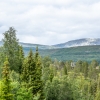 Norra Jämtland (48)