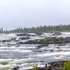 Norra Jämtland (86)