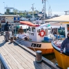 Oslo (19)